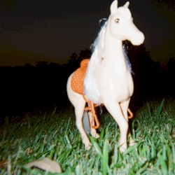 ridin’