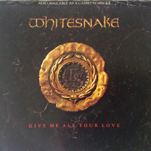 Give Me All Your Love