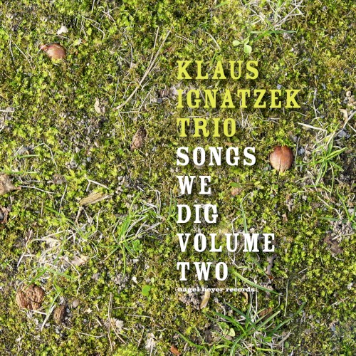 Songs We Dig, Vol. 2