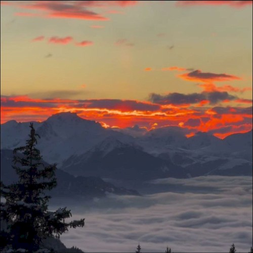 Mountain Winds