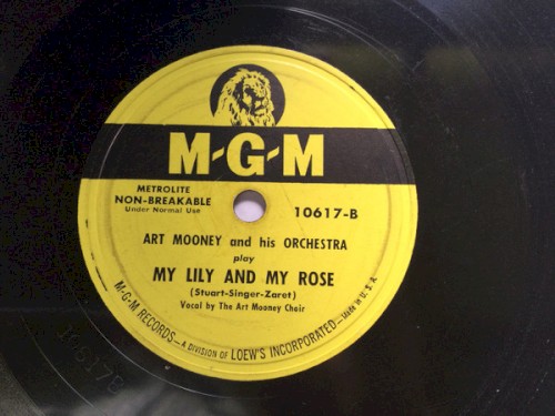 Zither Serenade / My Lily and My Rose