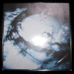 Brethren Bound by Blood 3/3