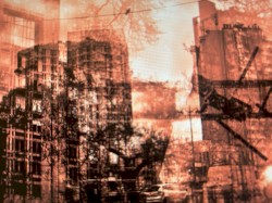 Concrete Jungle