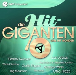 Die Hit-Giganten: One-Hit Wonder