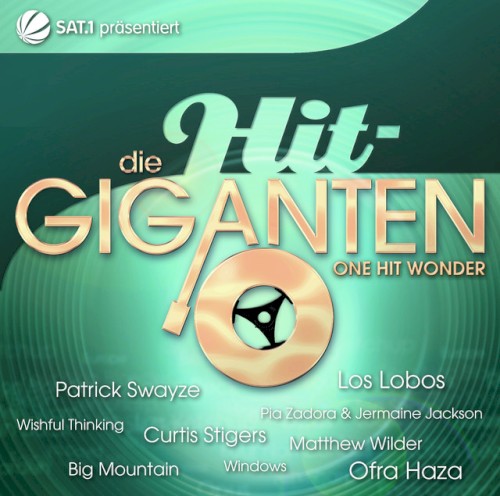 Die Hit-Giganten: One-Hit Wonder