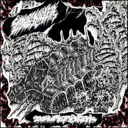 Enmity Manifest