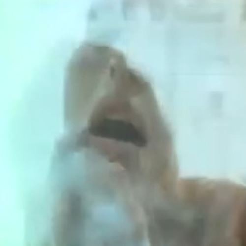 C2SL pt. 5