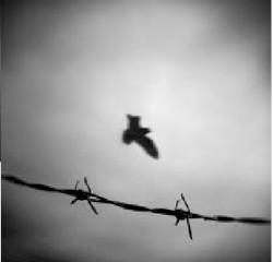 Watching It Unfold As The Memories Collide