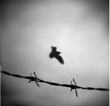 Watching It Unfold As The Memories Collide
