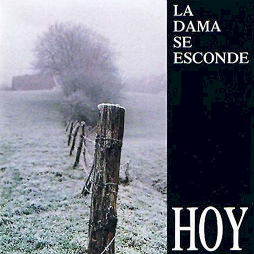 Hoy