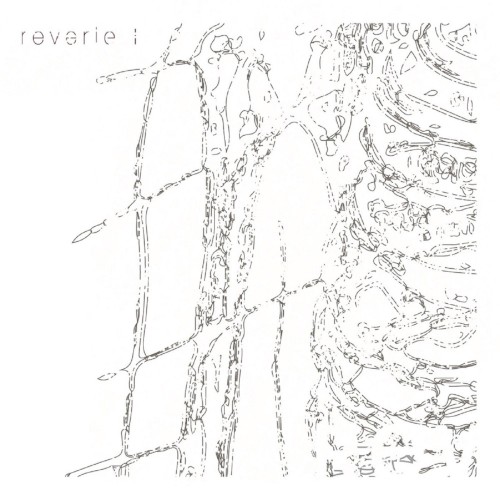 Reverie
