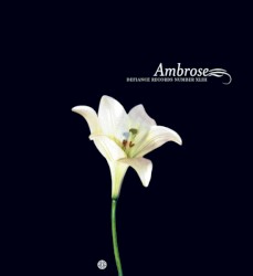 Ambrose