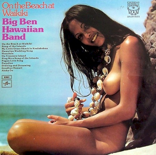On the Beach at Waikiki