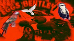 EGGS BENTLEY