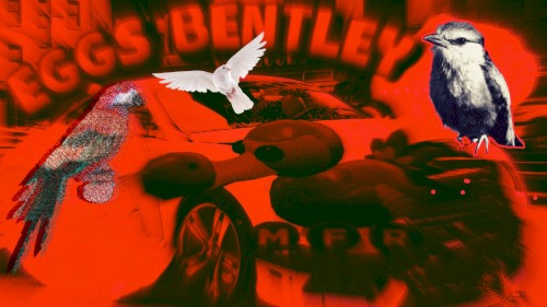 EGGS BENTLEY