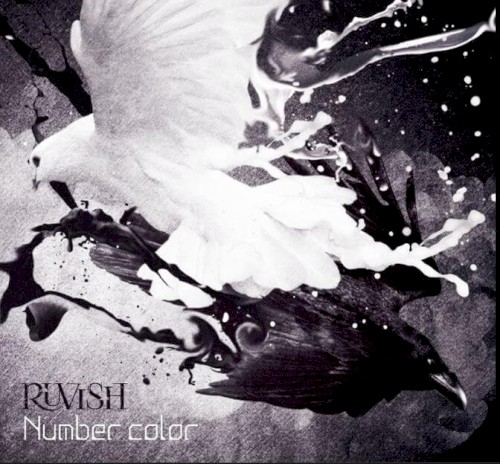 Number Color