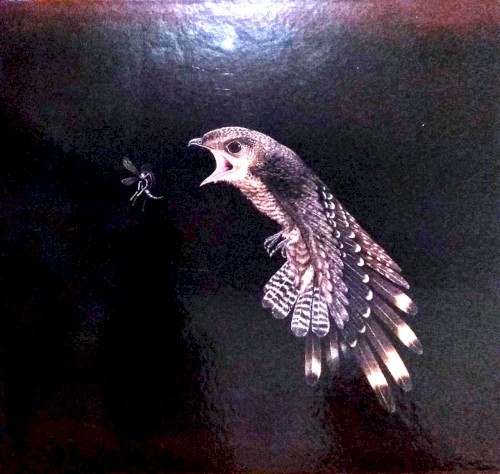 Bacurau: Trilha sonora
