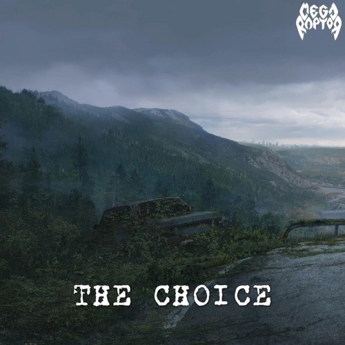 The Choice