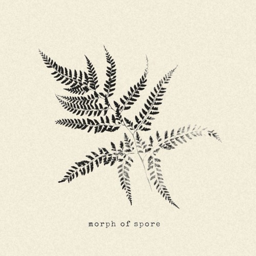 morph of spore