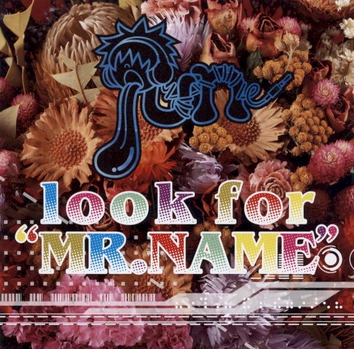 look for "MR.NAME"
