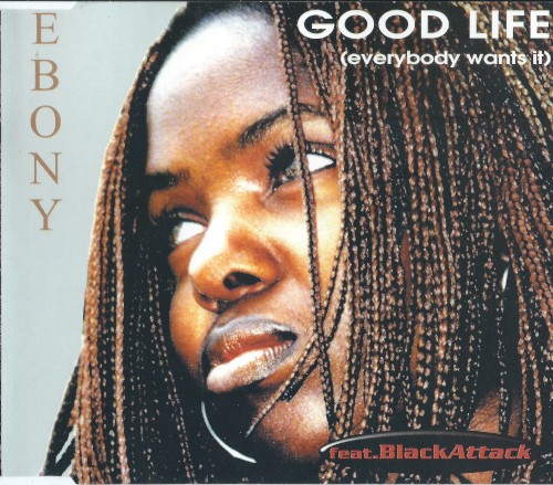 Good Life (Everybody Wants It)