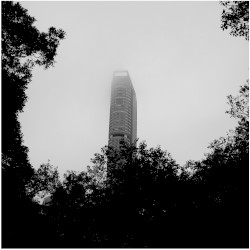 Untitled (2011)