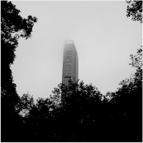 Untitled (2011)