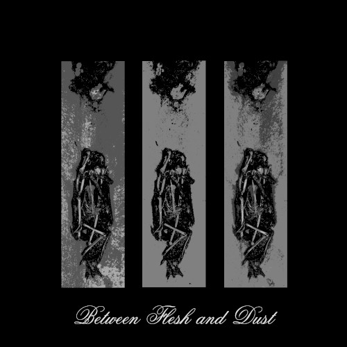 Between Flesh and Dust