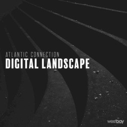 Digital Landscape