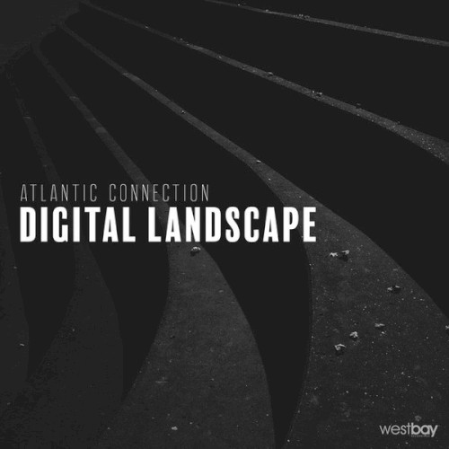 Digital Landscape