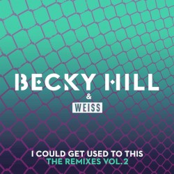 I Could Get Used to This (The Remixes / Vol. 2)