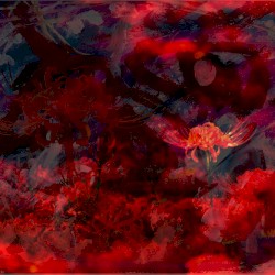 八面鏡に映る、わたしのココロ ( My heart to reflect in octahedal mirror )