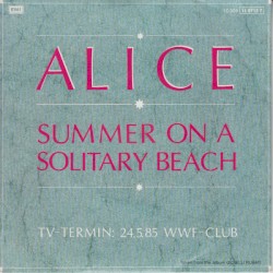 Summer on a Solitary Beach
