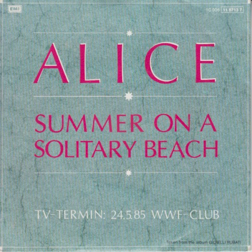 Summer on a Solitary Beach
