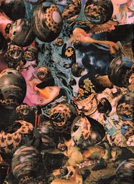 Black Medicine