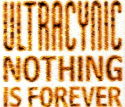 Nothing Is Forever