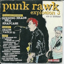 Punk Rawk Explosion, Volume 3