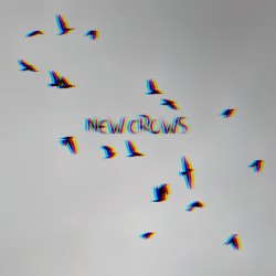 New Crows