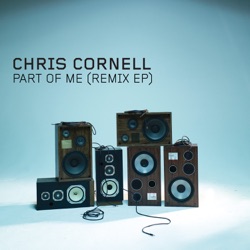 Part of Me (DJ Kleerup remix)