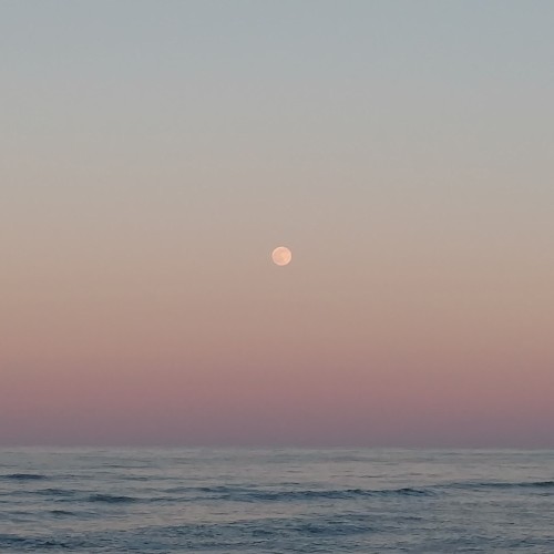 ocean of my own