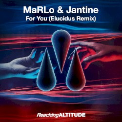 For You (Elucidus remix)