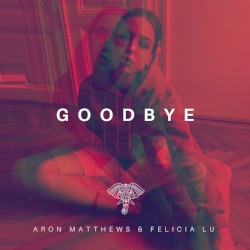Goodbye