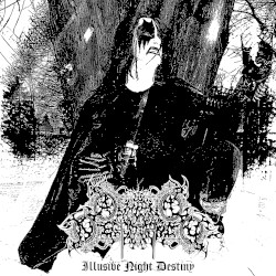 Illusive Night Destiny