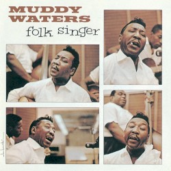 Folk Singer