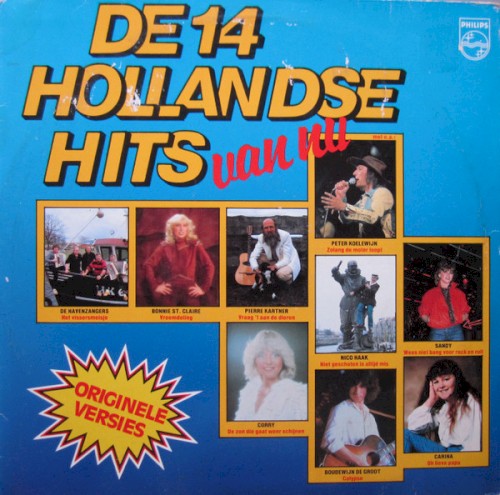 De 14 Hollandse hits van nu
