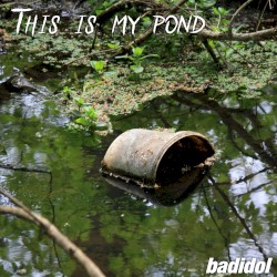This Is My Pond