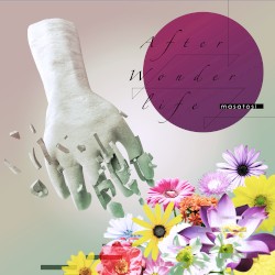 After Wonder life