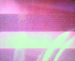 Pink_DataBody