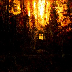 The Stygian Pines Of Renhollow