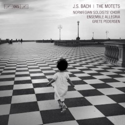 The Motets